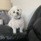 Prod�m �t��ata havamalt mini.