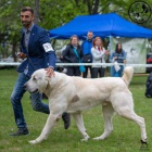 St�edoasijsk� ov��k �t��ata