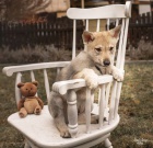 �eskoslovensk� vl��k s PP