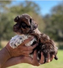 Prod�m �t��ata mal�ho kn�ra�e.