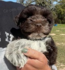 Prod�m �t��ata mal�ho kn�ra�e.