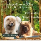 �au �au �t��ata na prodej