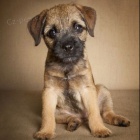 Prod�m �t��ata border teri�ra.