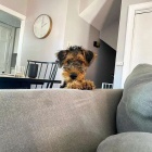 Prod�m �t��ata erdelteri�ra