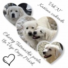 Slovensk� �uva� s PP