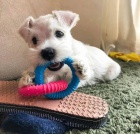 mini �t��ata mal�ch kn�ra��