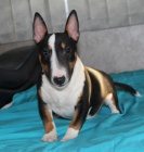 Miniaturn� bulteri�r �t��ata