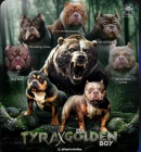 Americk� Bully Pocket �t��ata