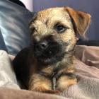 Prod�m �t��ata border teri�ra.