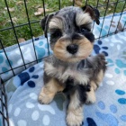 �t��ata mal�ch kn�ra��