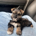 �t��ata mal�ch kn�ra��