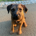 Prod�m �t��ata border teri�ra.