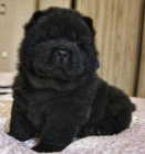 �ern� �au �au �t��ata