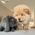 �au �au �t��ata