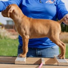 MA�ARSK� KR�TKOSRSK� �T��ATA VIZSLA