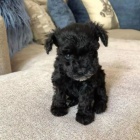 �t��ata mal�ho kn�ra�e