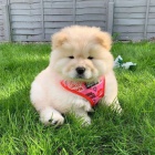 �au-�au �t��ata