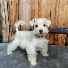 mal�ch kn�ra��