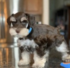 mal�ch kn�ra��