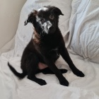 Peru�nsk� nah�� st�edn�