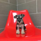 mal�ch kn�ra��