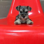 mal�ch kn�ra��