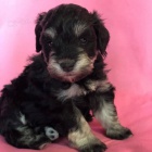 �t��ata mal�ho kn�ra�e