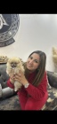 Pomeranian BOO �t��ata