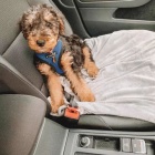 �t���tka erdelteri�r