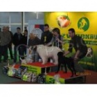 Prod�m �t�n� NKO