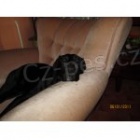 Prod�m �t�n� NKO