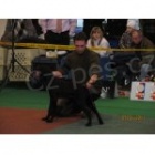 Prod�m �t�n� NKO