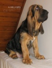 Bloodhound �t��ata