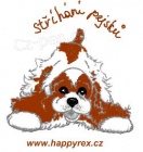 St��h�n� ps�