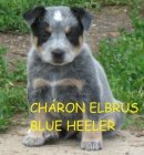 Australsk� Hon�ck� pes