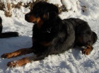 BEAUCERON - �t��ata s PP