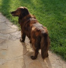 SOS pro 7let�ho jezev��ka