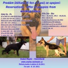 Prod�m �t��ata zahrani�n� kryt� pracovn� linie