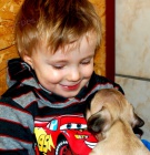 Francouzsk� buldo�ek s FCI   PP