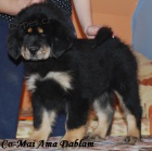 Tibetsk� doga - kr�sn� �t���tka s PP