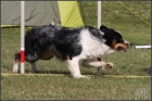 agility t�bor