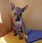 Peru�nsk� nah��-