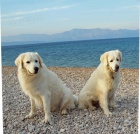 Slovensk� �uva� - �t��ata s PP