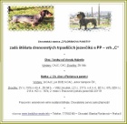 jezev��k drsnosrst� trpasli�� s PP