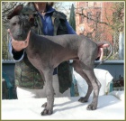 Peru�nsk� nah�� velk�