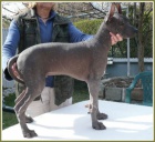 Peru�nsk� nah�� velk�