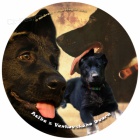 Kynologick� grafika