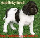 Mal� m�sterlandsk� oha� � �t��ata s PP