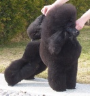 Pudl st�edn� �ern�