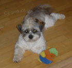 Nab�z�m ke kryt�